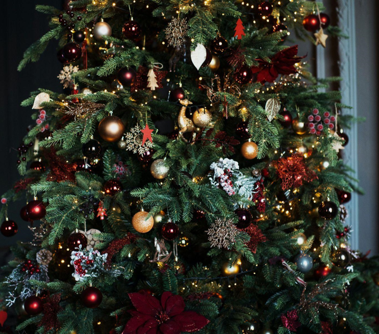 The Magic of Christmas Trees: A Symbol of Family Bonding and Love